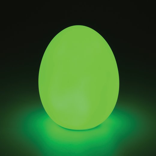 4812 - Glowing Egg